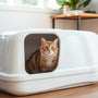 The Ultimate Guide to Choosing the Best Covered Cat Litter Box for Your Home