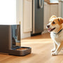 Upgrade Your Pet's Mealtime with a Voice Control Smart Pet Feeder