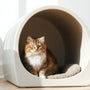 The Ultimate Guide to Choosing the Best Hooded Cat Box for Your Feline Friend