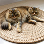 Discover the Ultimate Circular Cat Scratch Mat Bed for Your Feline Friend