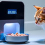A complete guide to smart pet wet food feeders for cats in 2025