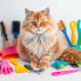 Top 10 Cat Grooming Products Every Cat Owner Should Try in 2025