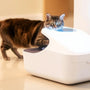 The Ultimate Guide to Choosing a Smart Cat Litter Box Purifier