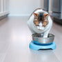 Say Goodbye to Messes: The Best Anti-Tip Cat Bowl Solutions