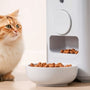 Is the Petlibro Polar Wet Food Feeder Worth It for Cat Owners