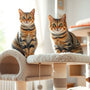 Cat Tree Buyer Guide: How to Choose the Best Cat Tree for Your Feline Friend in 2025