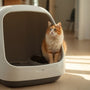 Choosing the Perfect Cat Litter Box: A 2025 Guide