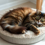 The Ultimate Round Cat Scratcher Bed: Comfort and Fun for Your Feline