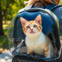 Top 10 Best Cat Backpacks for Adventurous Felines in 2025