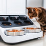 Revolutionize Your Cat's Mealtime with a Timed Wet Food Feeder