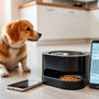 Master Your Pet's Meals with an App Controlled Pet Feeder