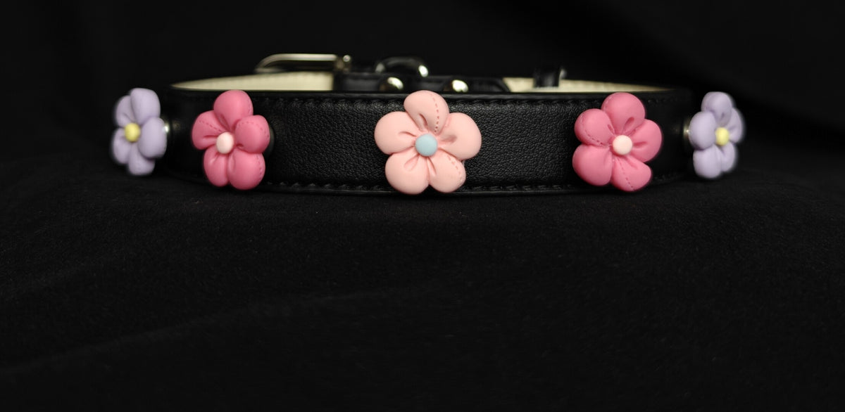 Pet Collar with Magnetic Charms (Charm only)
