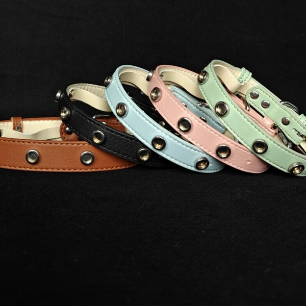 Pet Collar with Magnetic Charms (Chain Only)