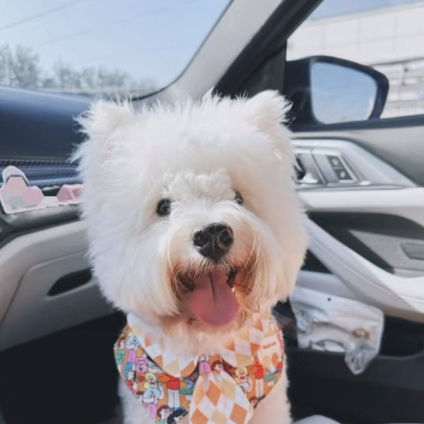 Personalized Pet Embroidery