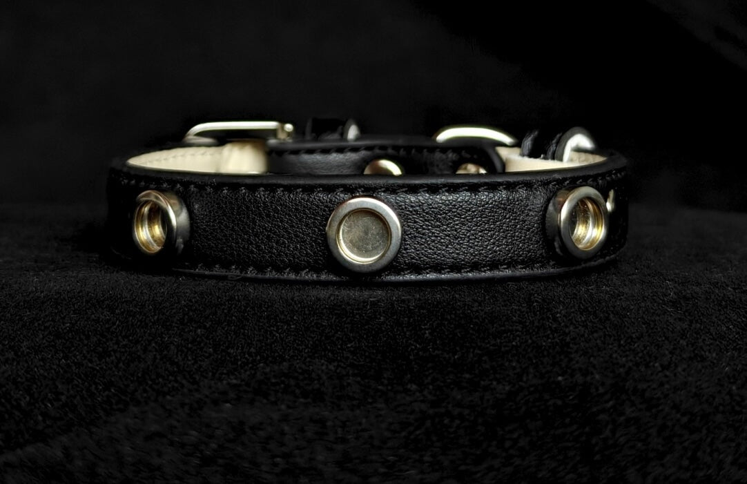 Pet Collar with Magnetic Charms (Chain Only)