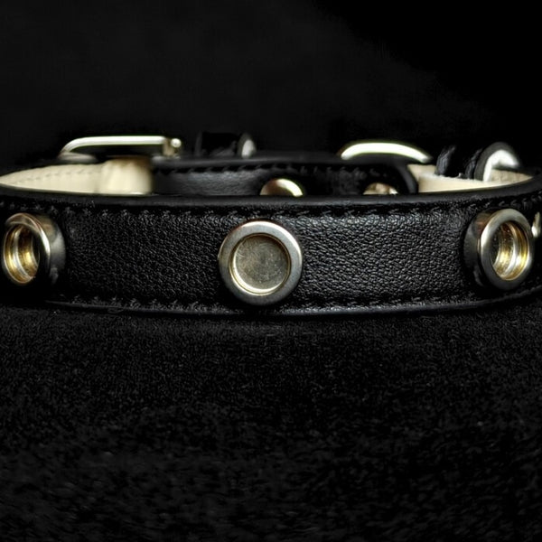 Pet Collar with Magnetic Charms (Chain Only)