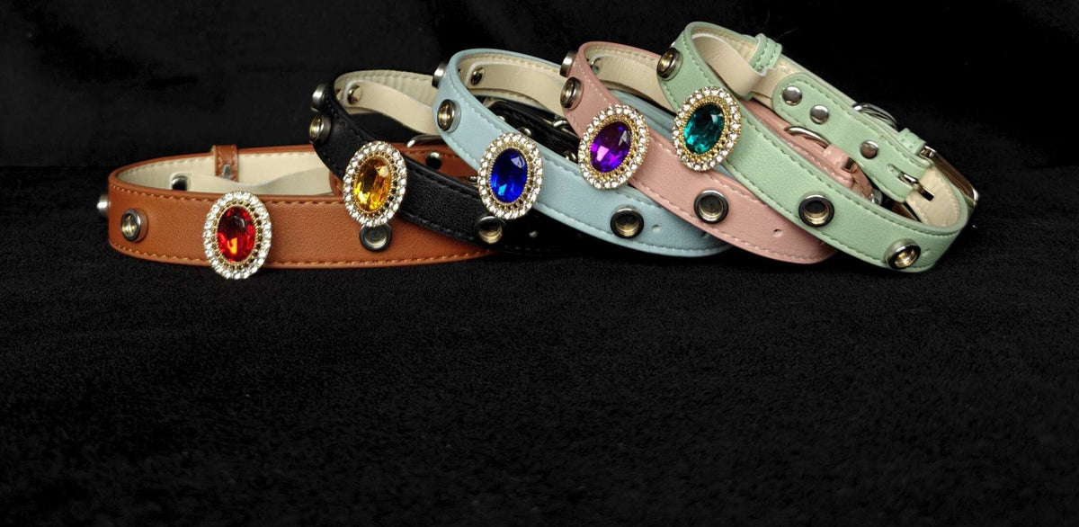 Pet Collar with Magnetic Charms (Charm only)