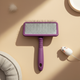  Witch Soft-Needle Air Cushion Comb