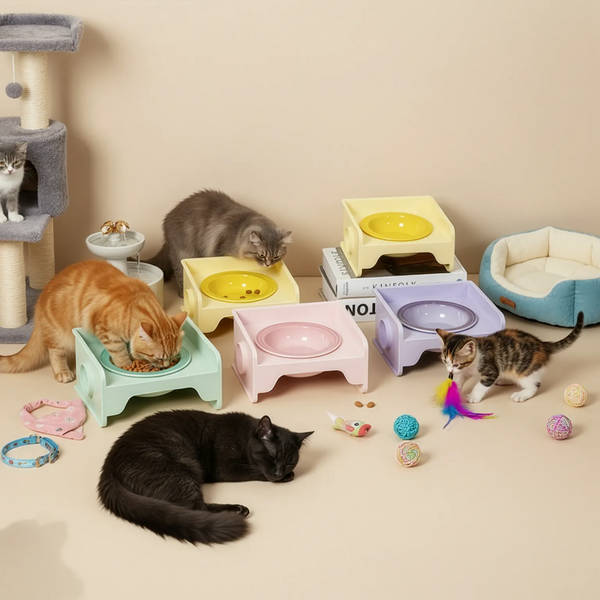 Square Dual-Ceramic Cat Bowl Set - Anti-Tip, Leak-Proof
