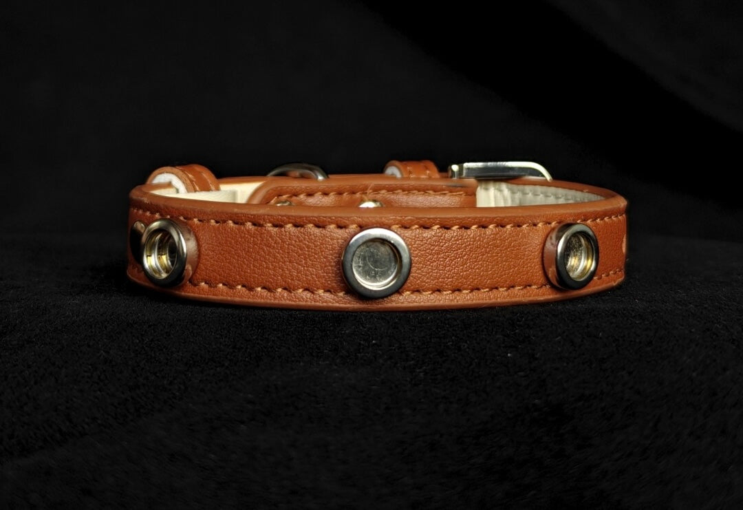 Pet Collar with Magnetic Charms (Chain Only)