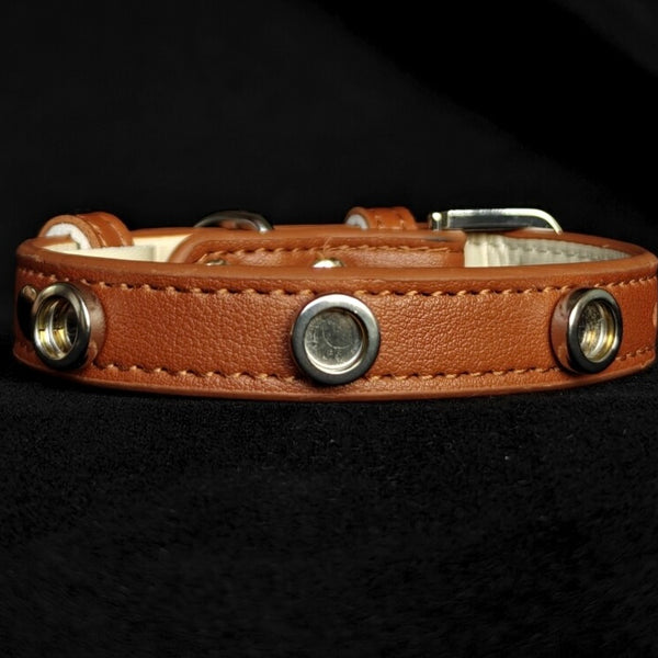 Pet Collar with Magnetic Charms (Chain Only)