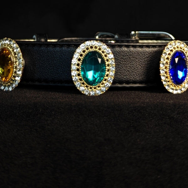 Pet Collar with Magnetic Charms (Charm only)