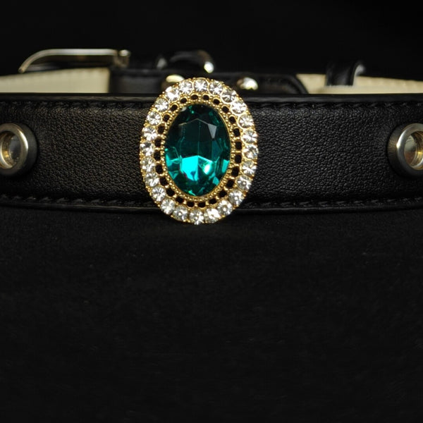 Pet Collar with Magnetic Charms (Charm only)