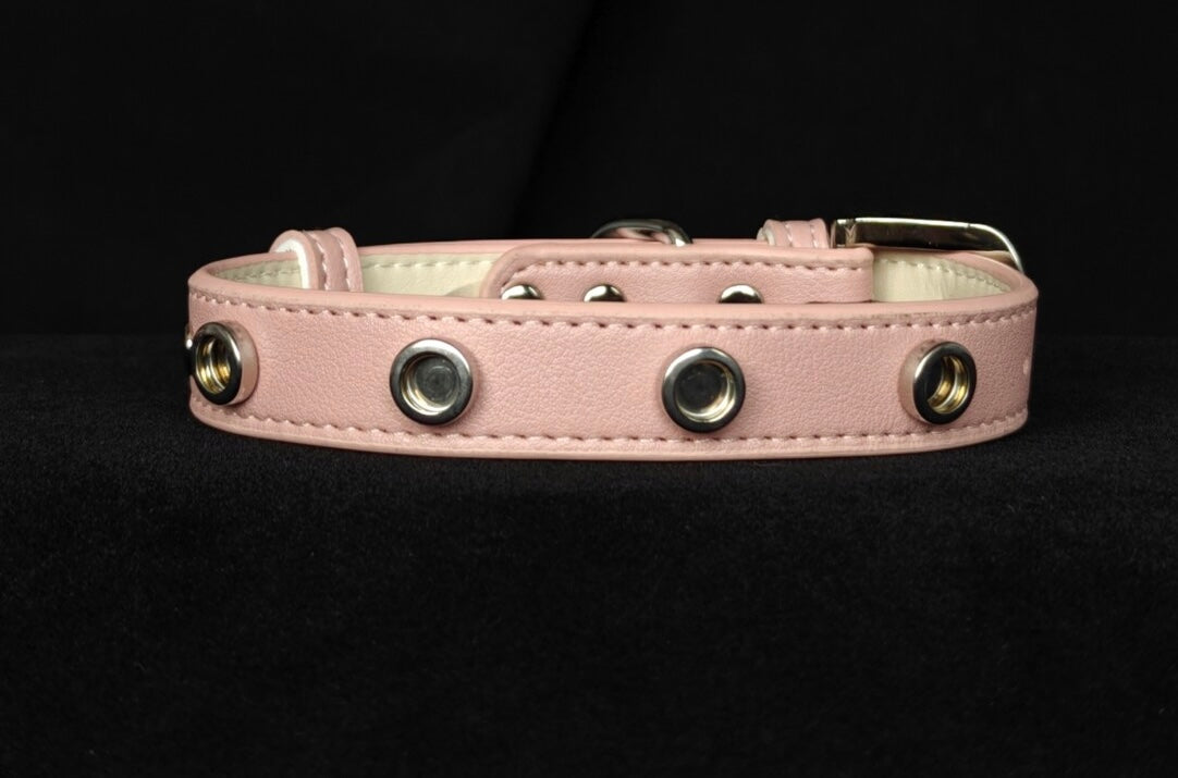 Pet Collar with Magnetic Charms (Chain Only)