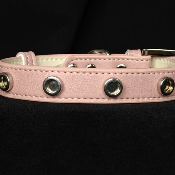 Pet Collar with Magnetic Charms (Chain Only)
