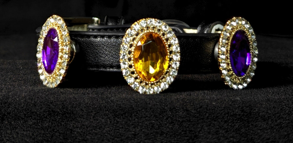 Pet Collar with Magnetic Charms (Charm only)