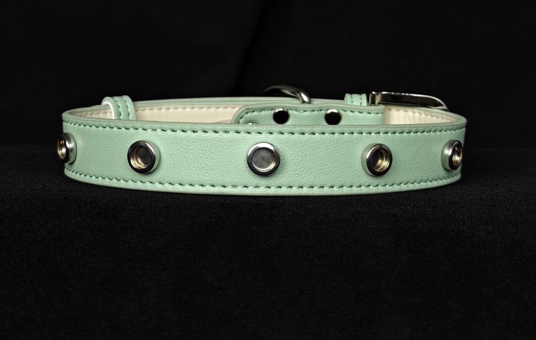 Pet Collar with Magnetic Charms (Chain Only)