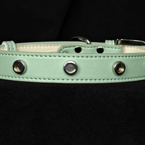 Pet Collar with Magnetic Charms (Chain Only)
