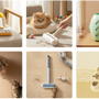 Cat Hair Cleaning Kit